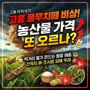 고흥군농업기술센터 | 고흥 풀무치떼 비상 “농산물 가격 또 오르나?”