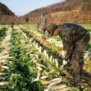 공군제17전투비행단 이미지