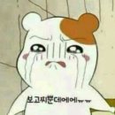 월드만화 이미지