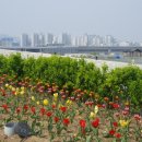 세종청사 1동 이미지