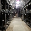 황금의 언덕 부르고뉴 와인 이미지