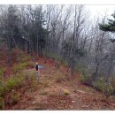 양촌자연휴양림 이미지