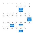 도제한의원 | [다이트] 쥬비스랑 고민했던 다이트 #내돈내산(15회차) 솔직 후기 &amp;결과 및 꿀팁 공유✨