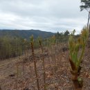 노루땅농장 이미지