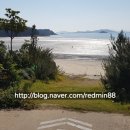 지니비치향 이미지