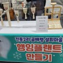 남교선녀마을 이미지