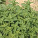 기구필라테스더존 이미지