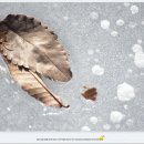 화악지암길 이미지