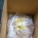 백운카센타 이미지