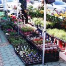 송지시장 이미지