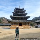 청천버스터미널 | 탐서가의 주간일기 199주차 (20260323~0329) - 속리산 문장대 등산/충주 악어봉/충주 호암지/충주 대림...