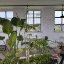 진성민박 이미지