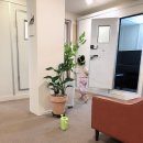 빠체피아노스튜디오 이미지