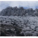 2014년 신년 맞이 제주 한라산(백록담1950m),우도 산행및 트래킹 안내 이미지