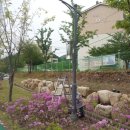 서화 체육공원 이미지