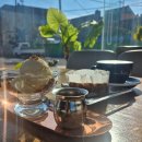 병둔 | 숲과 정원 속 여유, 사천 애견동반카페 커피팀버 사천포레스트 솔직 후기