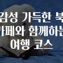 차와 함께 일상으로의 여행 이미지