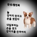 타코야 이미지