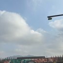 서울랜드 | 과천 서울랜드 동물원 후기 코끼리열차 리프트 후기