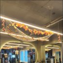 팻다운핏 이미지