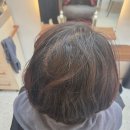 염색이야기 | 운중동 미용실 [살롱J] 뿌리염색 꾸준히 다니는 단골 후기 이야기