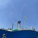 오션어드벤처 이미지