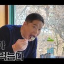 야채선수