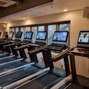 온더휘트니스 이미지