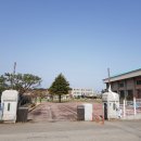 천진초등학교병설유치원 이미지