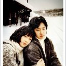 국화꽃향기 이미지