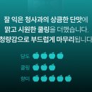 블루애플 이미지