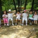 은빛나무어린이집 이미지