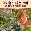 아가월드 나는 꼬마 전집 후기, 돌 전 아기부터 5세까지 활용하는 세밀화 자연관찰 (내돈내산)