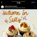 샐리컵케이크 이미지