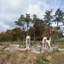 산방마을회관 이미지