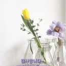 은쌤플라워
