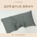 (유)제일환경 | 목통증 잡는 경추베개 집앤콕 잘자U유 사용 리뷰
