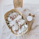 용산-50 | 서울 용산 50일 홈스냅 촬영 후기 | 용산에서 만난 다섯 가족의 따뜻한 기록