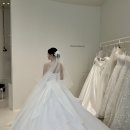 조금리 | 청주 본식 기록(아모르아트웨딩/브리앙뜨/헤일로타임/메종드안/아뜰리에 오송이 후기)