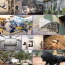 성림초등학교 이미지