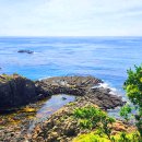 양남주상절리 이미지