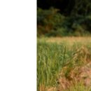 서귀포웨딩홀 이미지