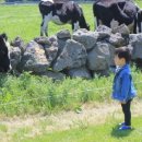 미소플레이스 이미지