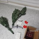 허튼소리 | 트마 크리스마스트리 180cm 내돈내산 후기와 설치방법, 그리고 허튼소리들...
