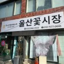 성남동 4030(사이도로) | 울산 성남동 소구매도 가능한 울산꽃시장