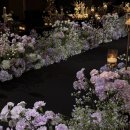 올포유 | 아이폰스냅 | 올포유 본식 후기