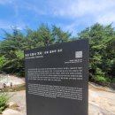 정든장 | 곡성 도림사계곡ㅣ물고기잡기 좋은 광주근처계곡