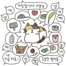 고양이 힐링영상 모음 이미지