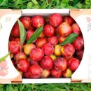 김천상회 이미지