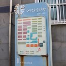 해남읍 5일 시장 주차장 | 제주도 서귀포시 모슬포 대정오일장시장 장날 대정 5일 시장 날짜 매월 1,6,31 먹거리 주차장 정보